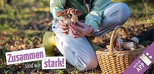 Selbsthilfe-News