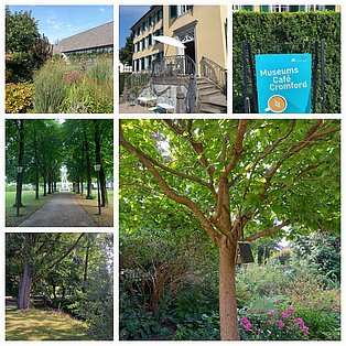 Unser Selbsthilfe-Spaziergang im Cromford Park in Ratingen am 29. August 2024