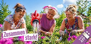 Selbsthilfe-News